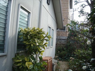 河野邸-01