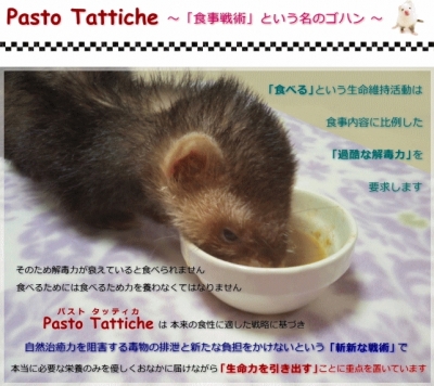 pastotattiche2.gif