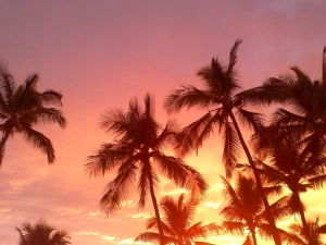sunset2