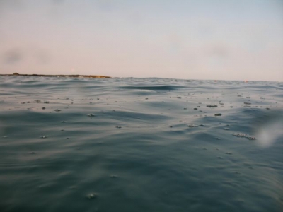 coral bubble