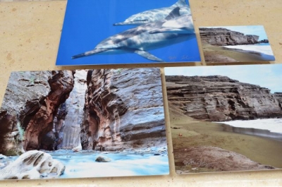 metal prints