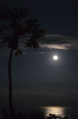 full moon