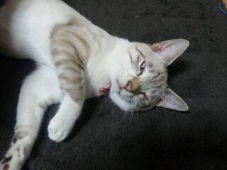 20110217_003804.jpg