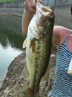 45cm���åȡ���