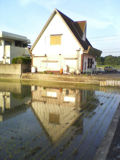 田んぼ