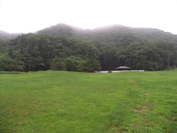 高原