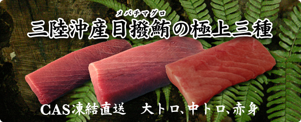 バチマグロ