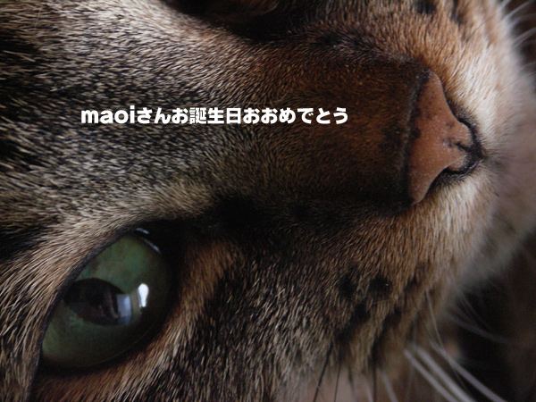 maoiさんお誕生日おめでとう