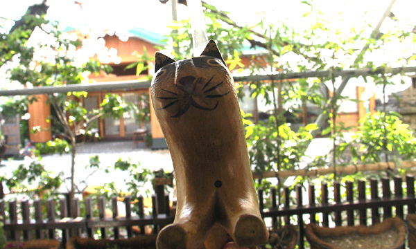 庭に猫