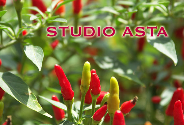studio asta