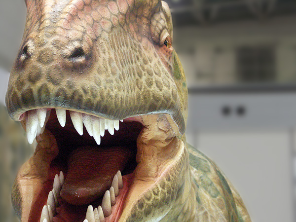 Walking Dinosaurs Allosaurus