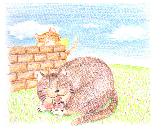 天使になった猫チョキ