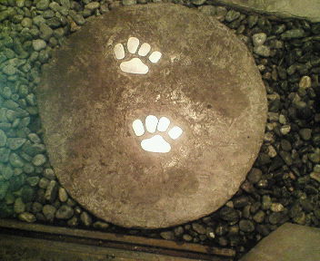 200710012022000.jpg