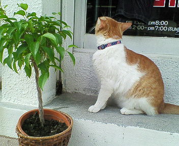 200711061414000.jpg