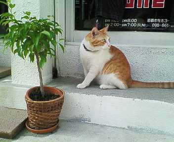 200711061415000.jpg