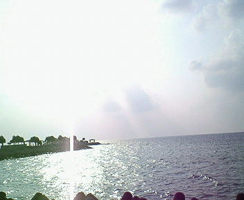 200712031520000.jpg