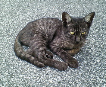200710181243000.jpg
