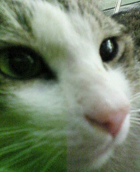200701072131000.jpg