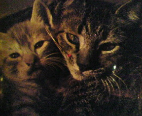 200712092205000.jpg
