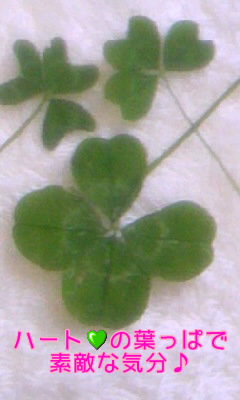 100501_1250~010001.jpg