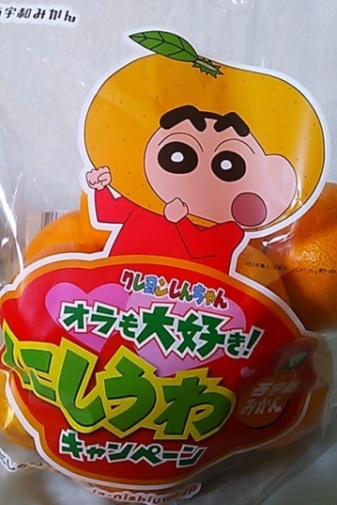 宇和島みかん