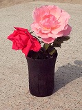 small-R0011031.jpg