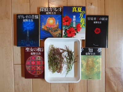 水草を取り囲むあれ
