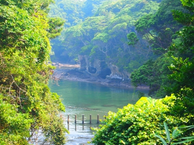 海!