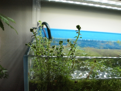 水面突破1