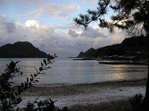 日本海