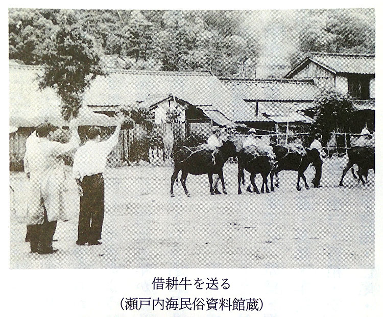 借耕牛