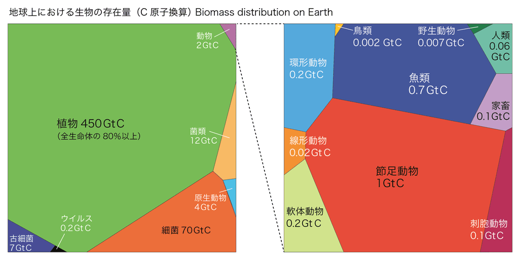 2022年03月23日の記事 | toit incertain 2022年03月23日の記事 | toit incertain