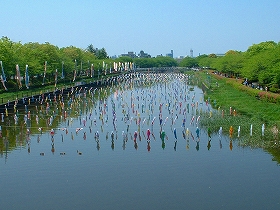 ギネス越えの景色?