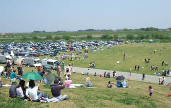 江戸川河川敷