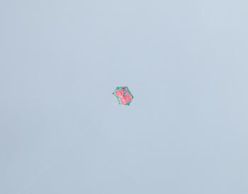 播州凧の会