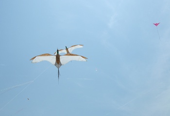 2連の鳥