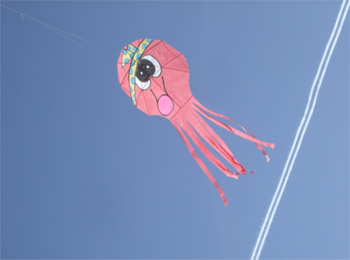 タコの凧