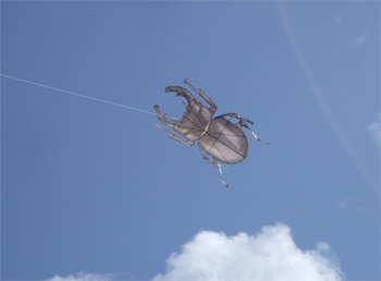 カブトムシの凧