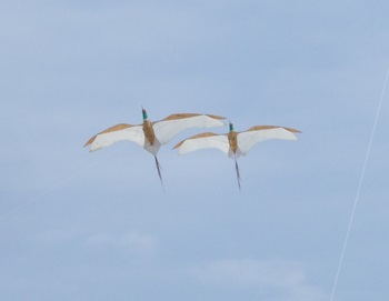 つがいの鳥凧