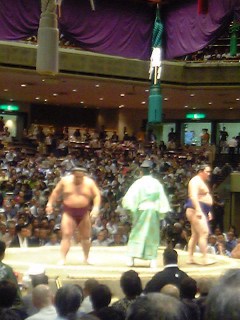 千代大海