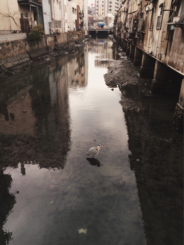 iPhoneImage.png