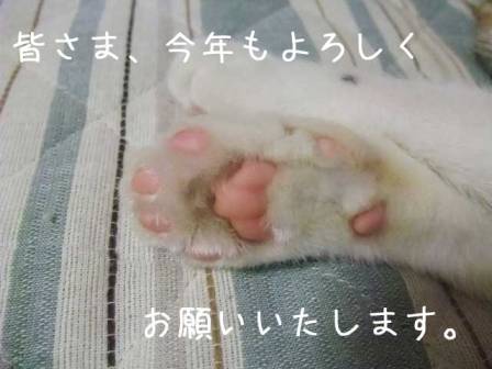 ごあいさつ