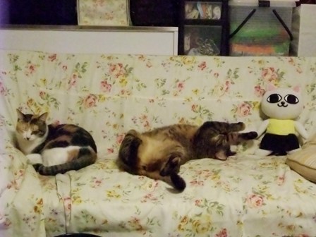 こはねとみゆきとねこぢる
