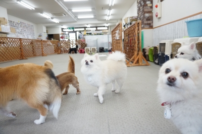 DSC01745.JPG