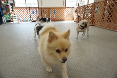 DSC02033.JPG