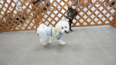 DSC09786.JPG
