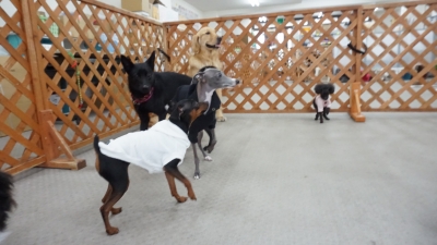 DSC09916.JPG