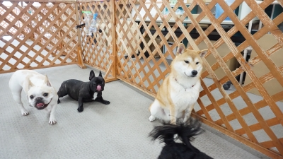 DSC09972.JPG