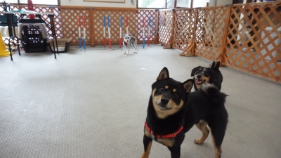 DSC03570.JPG