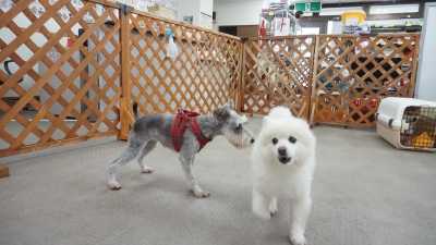 DSC03583.JPG